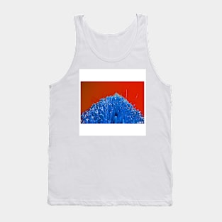 the beauty in the grass ecopop landscape of oaxaca photograph Tank Top